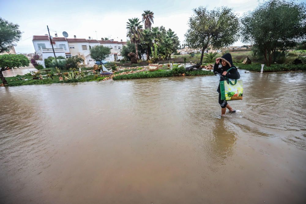 Imágenes de los vecinos retirando agua de las viviendas y las balsas de laminación que no dieron abasto ayer junto a la laguna de Torrevieja