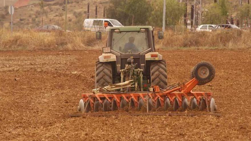 Extremadura perderá 18 millones en el 2014 con la nueva PAC