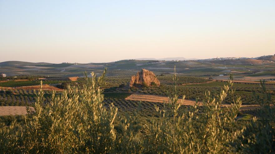 Un grupo de investigadores pide «protección» para Piedraluenga en Montilla