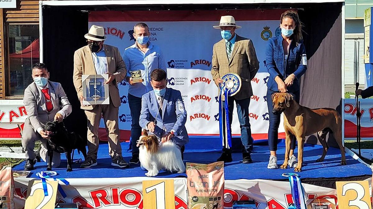 Podio de ganadores, ayer, en el recinto ferial de Silleda. |   // BERNABÉ/ANA AGRA