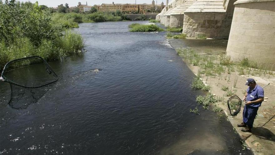 Ciudadanos exige responsabilidades por el vertido al Guadalquivir