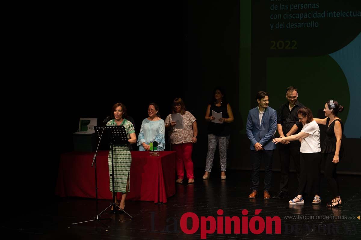 Plena Inclusión entrega sus premios Laurel