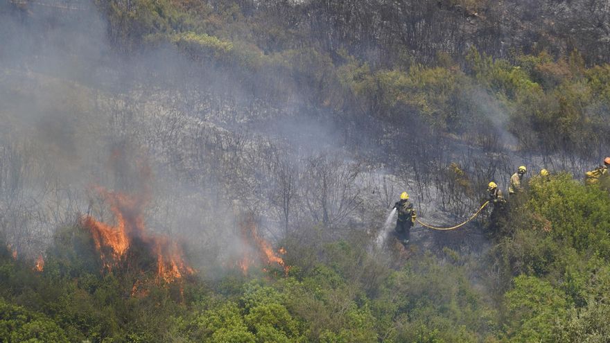 Els empresaris forestals de Girona denuncien que els incendis són la conseqüència de &quot;dècades d’abandonament rural i falta de planificació&quot;