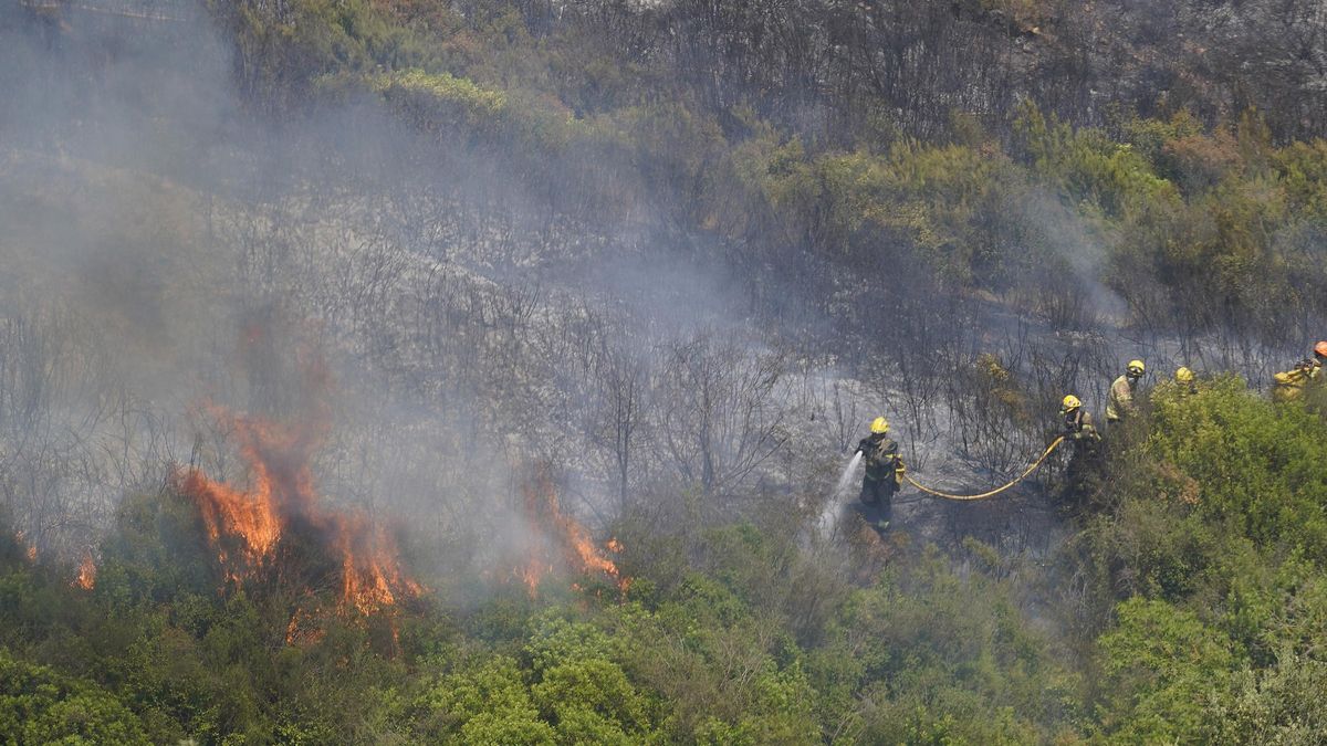 Els Bombers actuen per apagar l'incendi forestal que es va produir divendres.