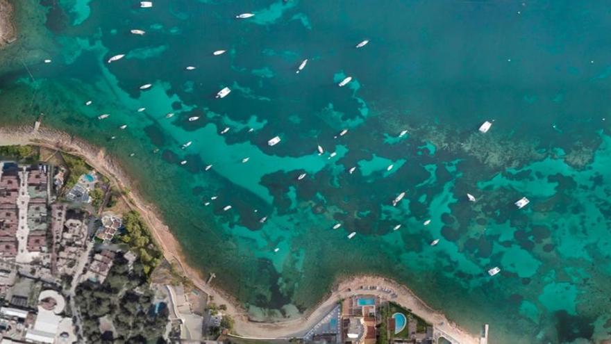 Imagen aérea tomada el 25 de junio sobre es Pinet. Foto: Salvem Sa Badia