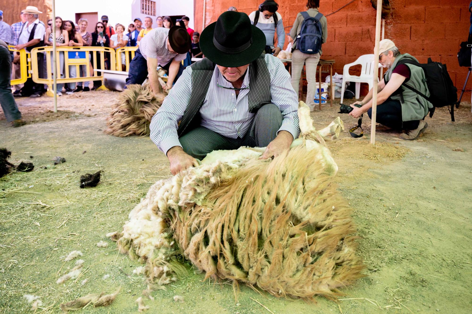 Fiesta de la Lana de Caideros