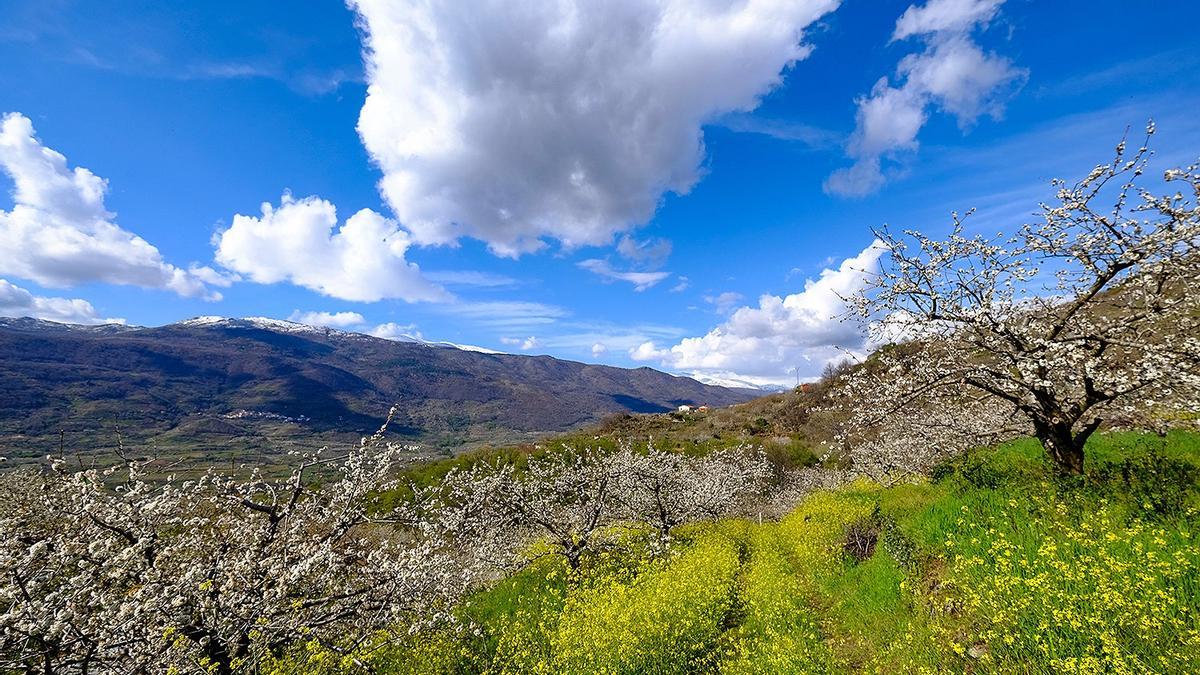 Valle del Jerte