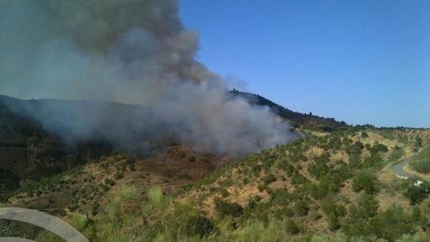 Imagen del Infoca del incendio forestal en Casabermeja.