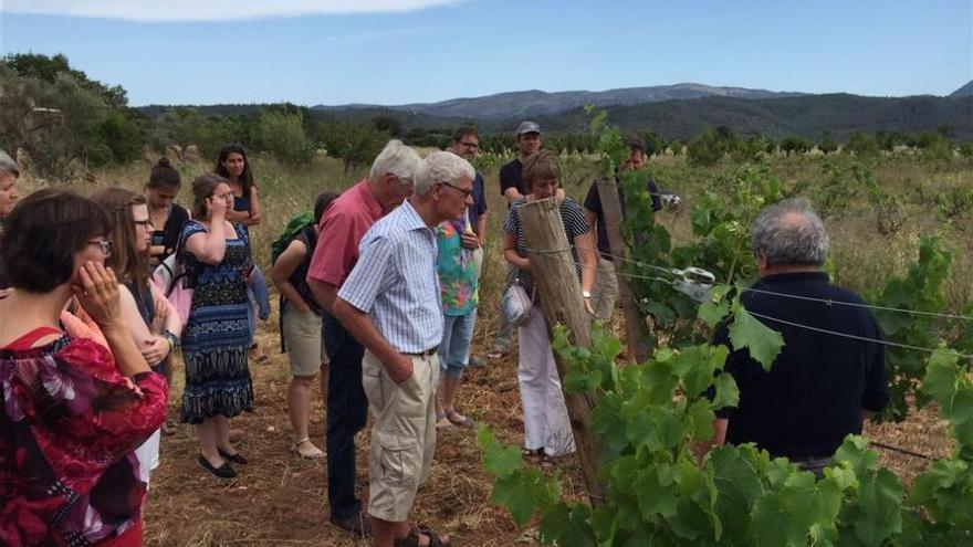 Bodega Flors lanzará en breve su nuevo vino: Flor de Taronger 2016