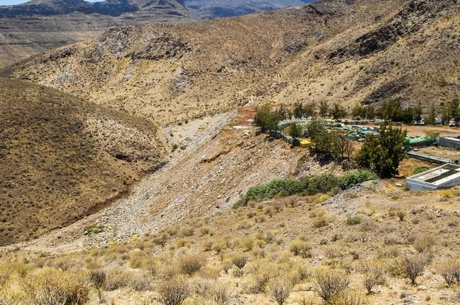 DEPOSITO CONTENEDORES DE BASURA Y VERTEDERO