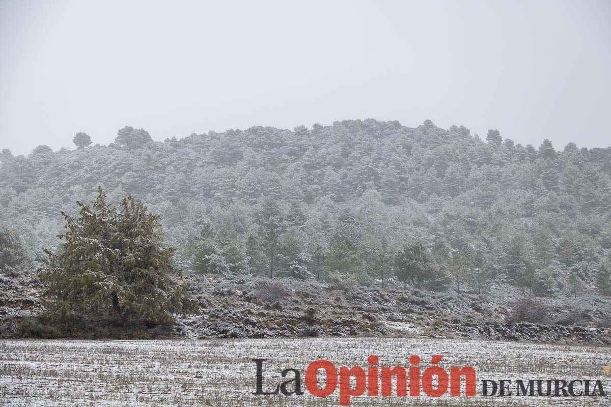 Nieve en el Noroeste