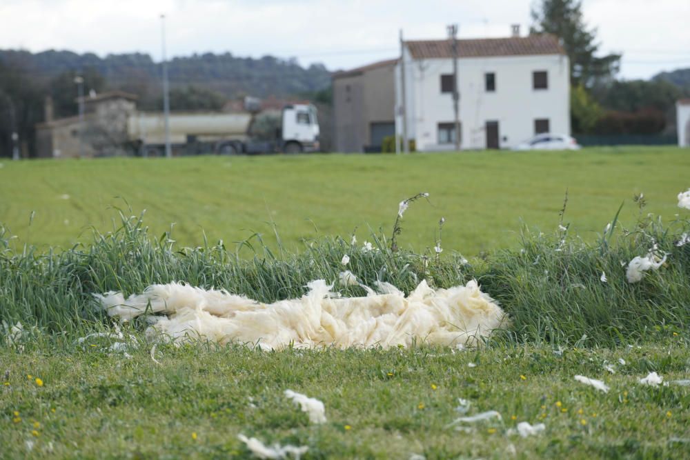 El vent arrenca part del teulat del pavelló de Canet d'Adri