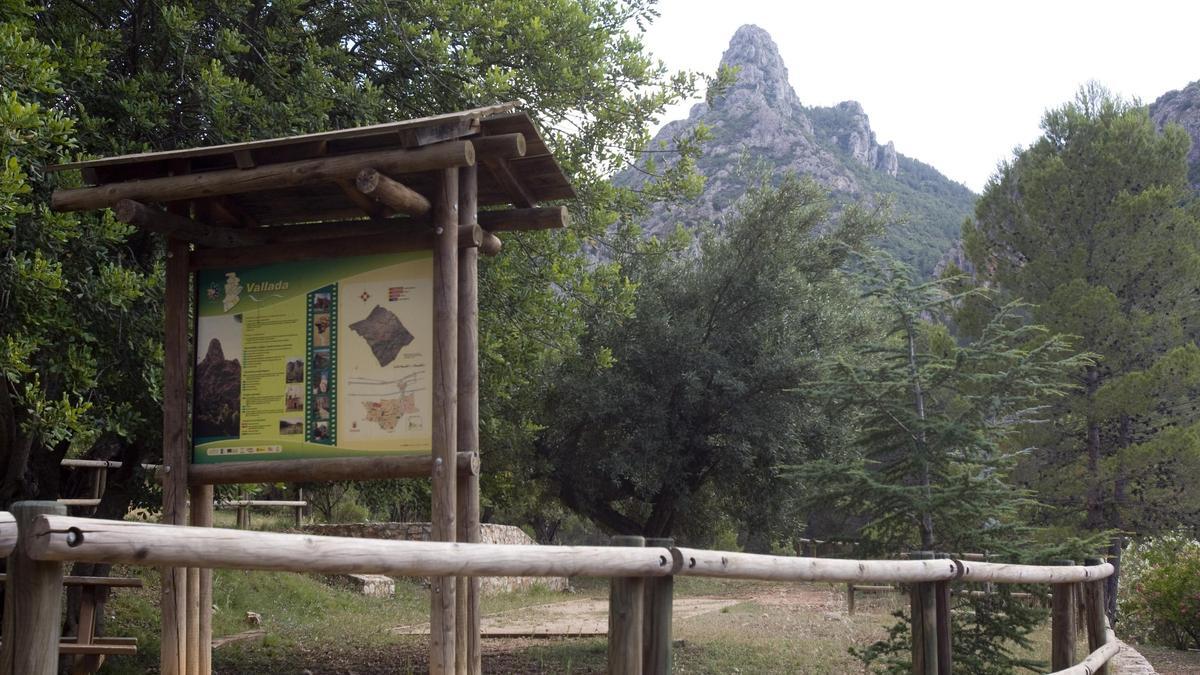 Paraje de Vallada con el Penyó al fondo, uno de los enclaves donde va a actuarse.