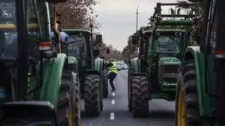 Huelga de los agricultores en España: motivos, qué piden y hasta cuándo durará