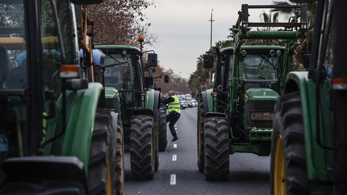 Protesta de agricultores en València.