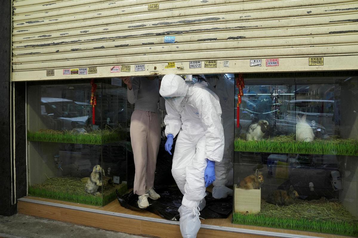 FILE PHOTO: Officers in protective suits at a closed pet shop in Hong Kong