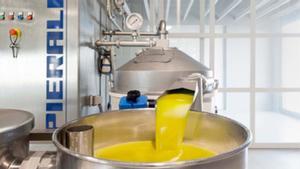 Un oli del Penedès, entre els millors verge extra d’Espanya