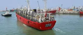 Fandicosta pierde su filial en el extranjero: Gandón se queda la argentina Cruz del Sur