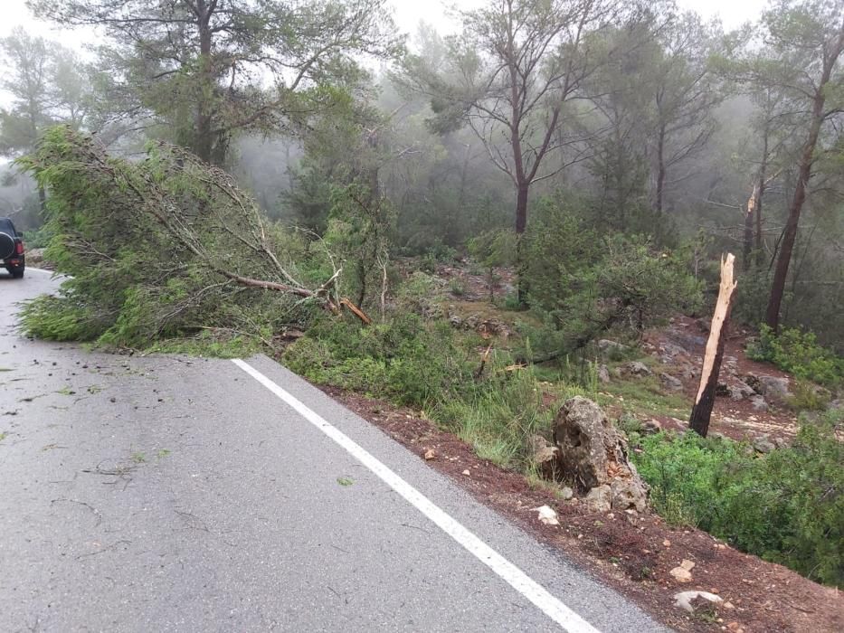 El temporal descarga sobre Ibiza y Formentera