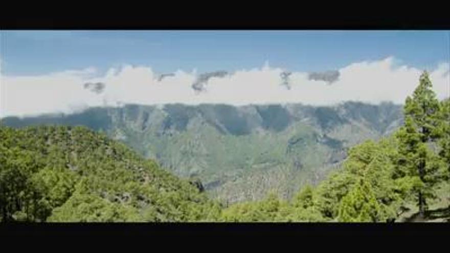 Feliz Día de Canarias 2018