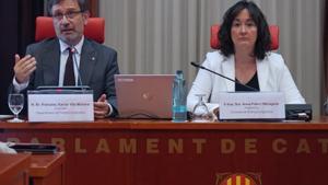 El conseller de Polítiques Lingüístiques, Francesc Xavier Vila, este jueves en el Parlament