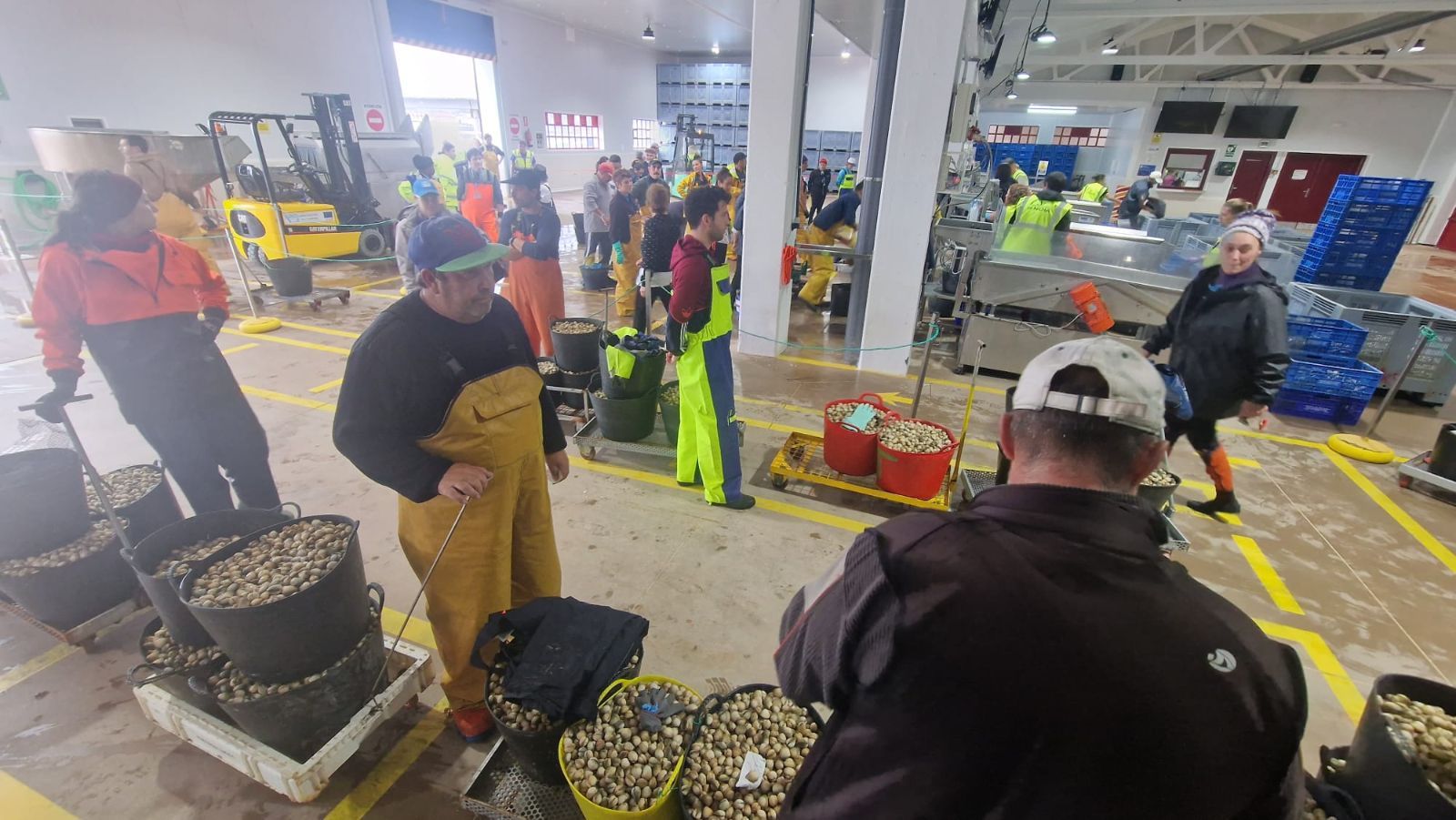 Así es el día a día en el puerto y la lonja de O Testal (Noia), donde cada vez se dan cita más mariscadores arousanos.