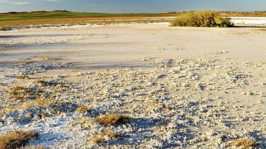 Dudas sobre los nuevos planes de Gestión de la Red Natura