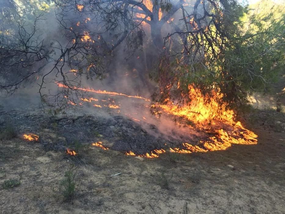 Incendio intencionado en Guardamar del Segura