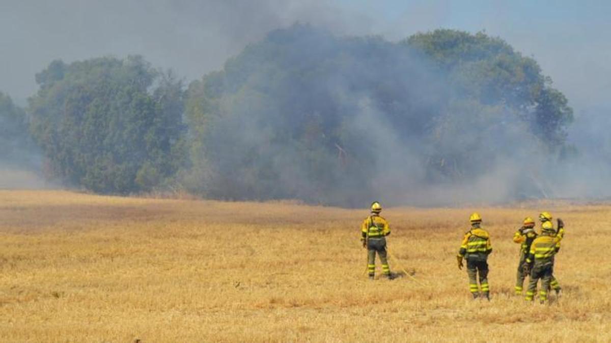 Imagen de archivo de labores de extinción de un incendio forestal a cargo de INFOAR