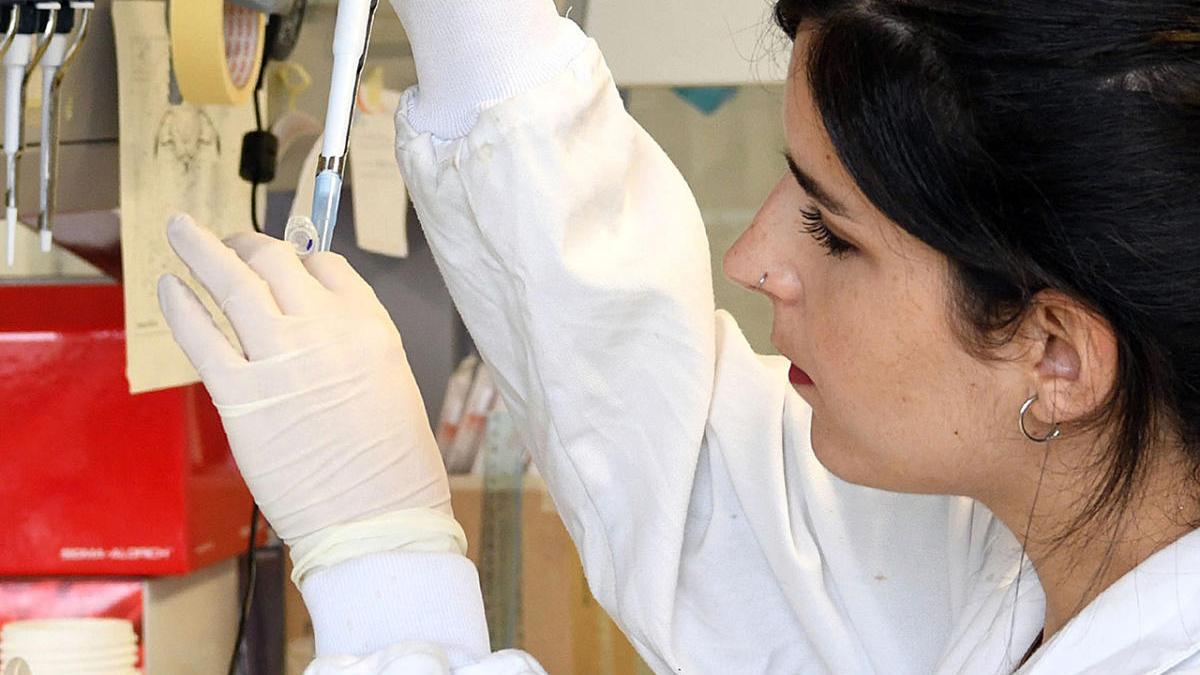 Investigadora de la Universidade de Santiago en un laboratorio del CIMUS. // Santi Alvite