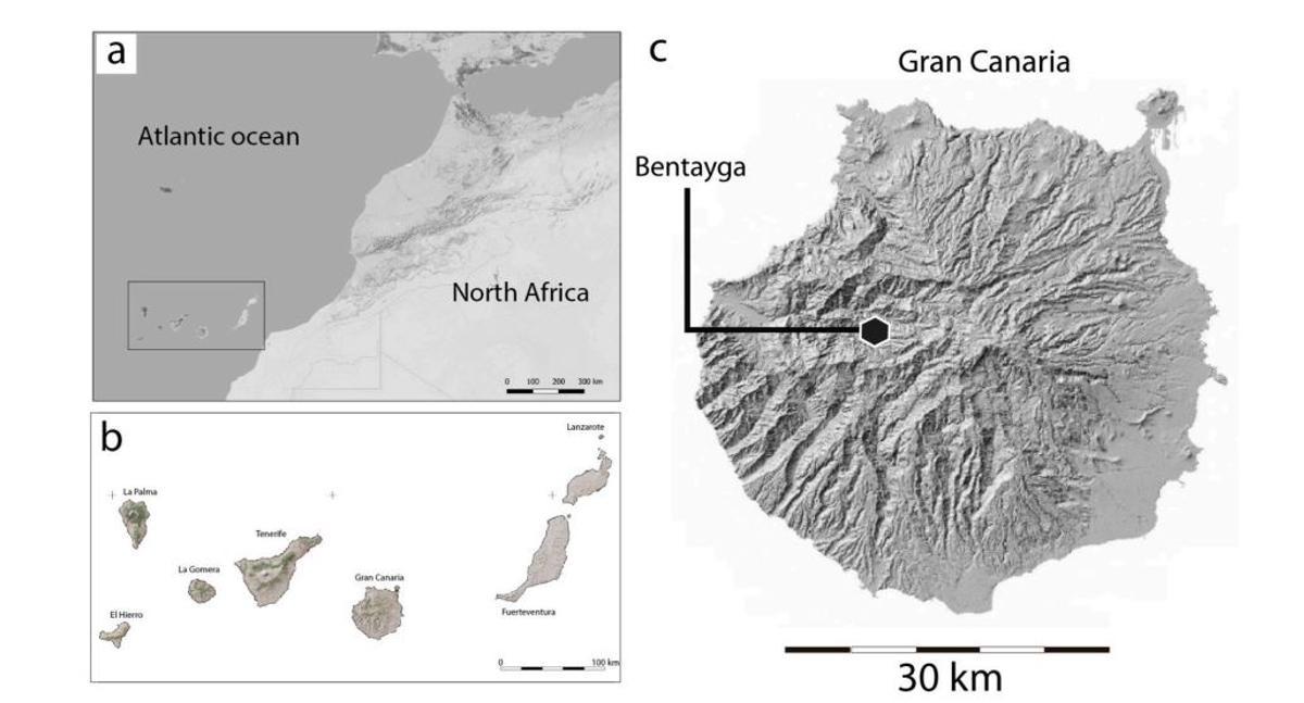 Mapa del archipiélago canario que muestra su posición frente a la costa noroeste de África