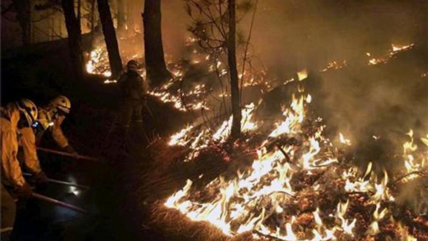 Los bomberos someten el fuego de La Palma