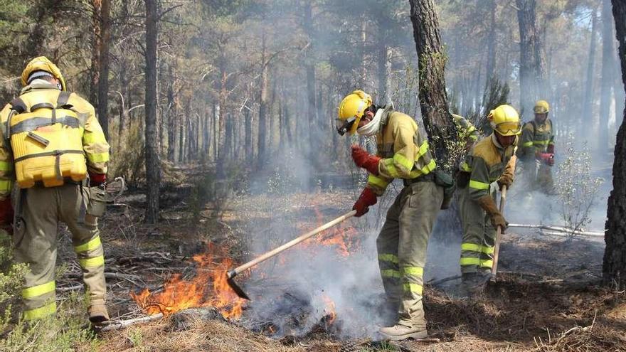 Trabajadores forestales apagan un fuego en un monte de la provincia de Zamora.