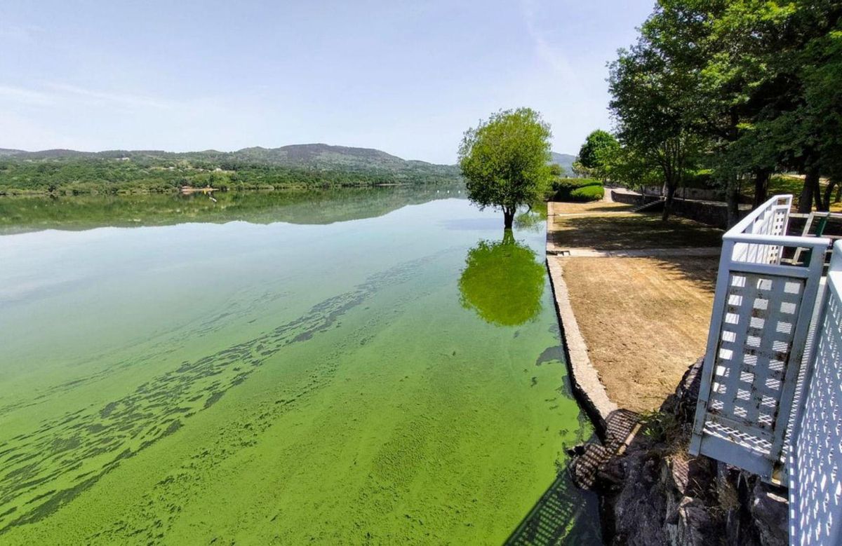 Playa fluvial de la Antena, «sin humo», en la ciudad. | I.Osorio