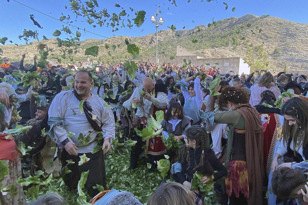 Lechugas al cielo para una batalla campal en Villena
