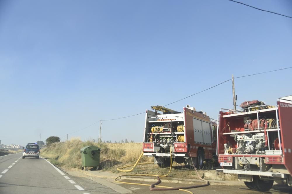 Incendi forestal a Sant Feliu Sasserra