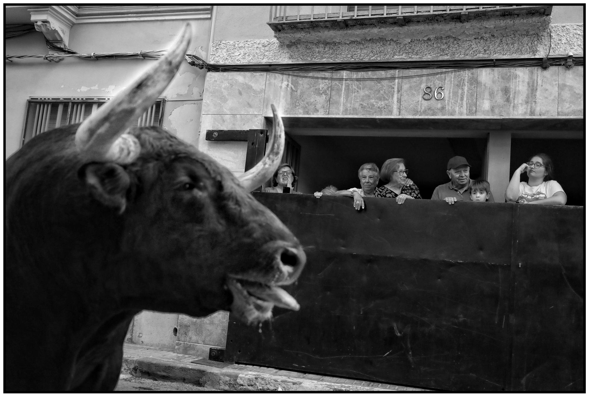 Búscate en la galería del segundo día de fiestas en Almassora