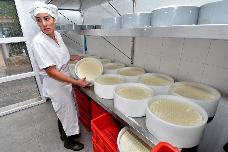 06/11/2018 EL LIRÓN, INGENIO. Quesería El Parral, empresa que elabora quesos sin lactosa y otras modalidades. SANTI BLANCO  | 06/11/2018 | Fotógrafo: Santi Blanco
