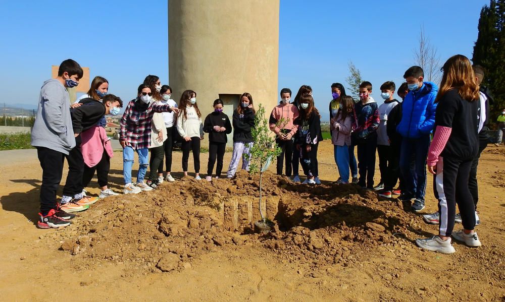 Setmana Cultural a l''escola Josep de Ribot i Oliva