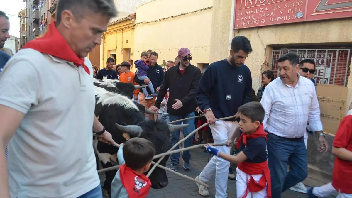 VÍDEO | Los Chiqui Bueyes sí salen a las calles de Benavente.