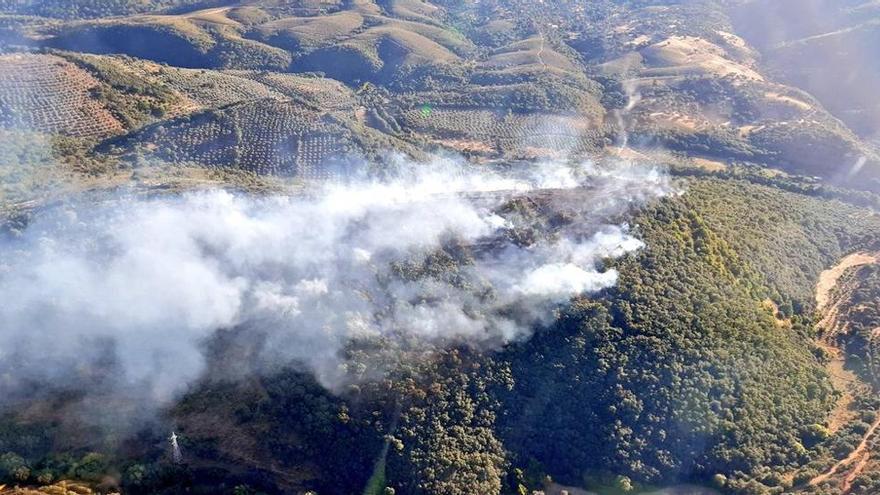 Medios aéreos y terrestres del Infoex luchan contra un incendio declarado en Castañar de Ibor