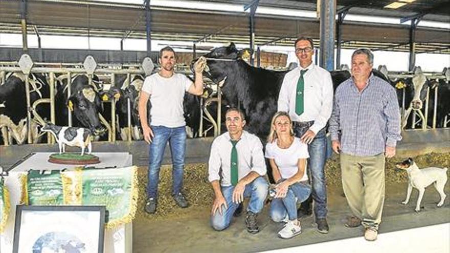 Once ganaderías de vacuno de leche acudirán a la Feria Agroganadera