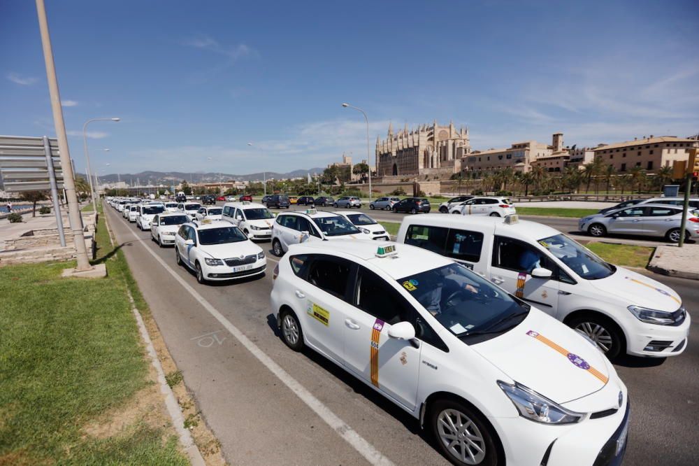 Protesta de los taxistas en Palma y en el aeropuerto