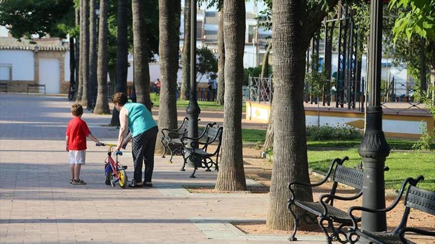 El sistema de riego del Paseo sufre «caídas» por los nuevos contadores