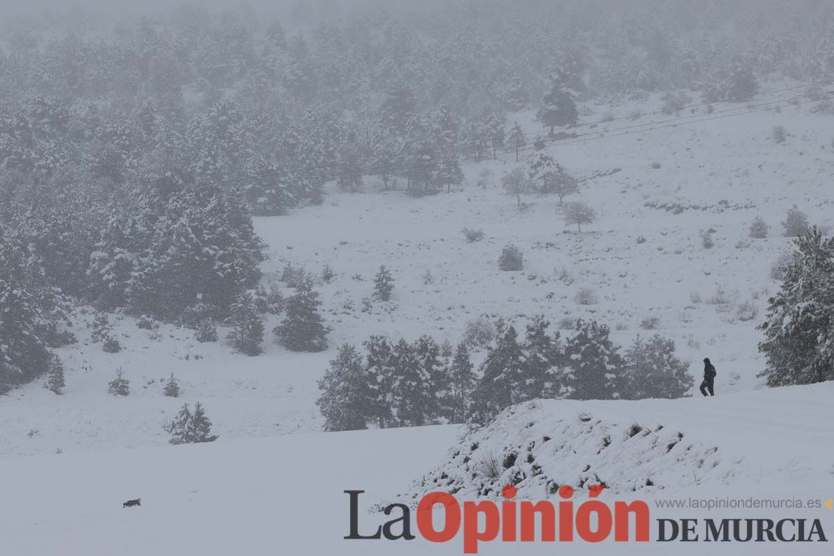 Continúa la nevada en las zonas altas de la comarca del Noroeste