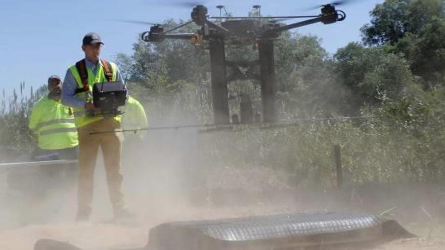 Los drones detectarán y fumigarán los criaderos de la mosca negra