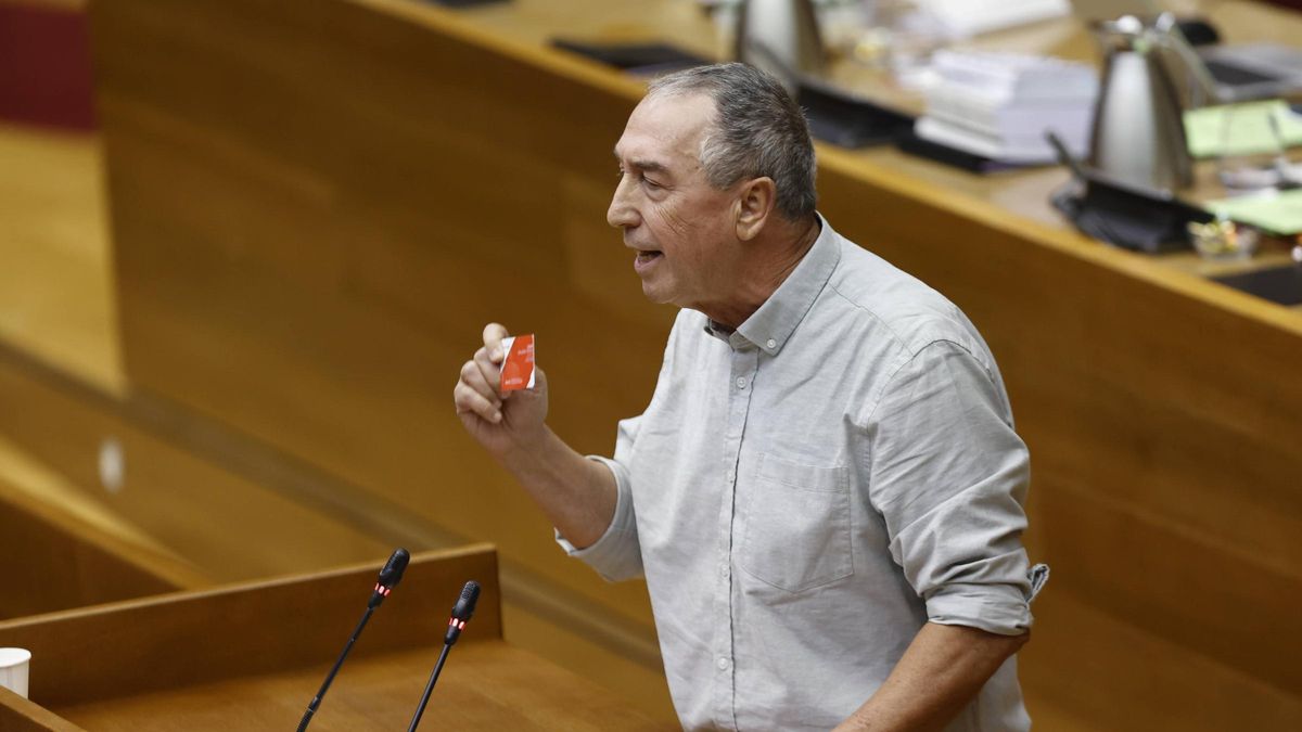 Joan Baldoví durante una intervención en Les Corts.