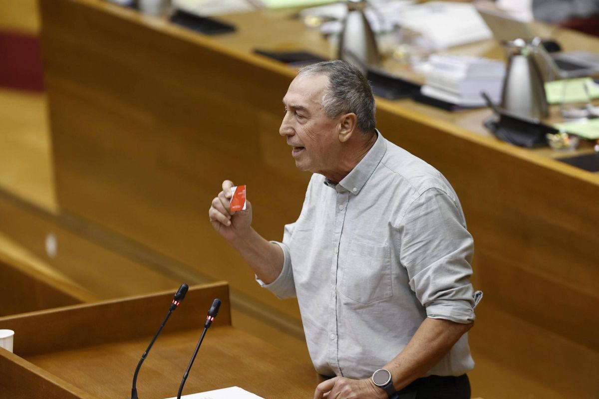 Joan Baldoví durante una intervención en Les Corts.
