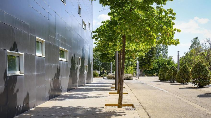 El Govern i la UIB inicien el camí de les futures instal·lacions universitàries en el ParcBit