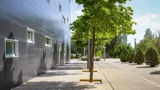 El Govern i la UIB inicien el camí de les futures instal·lacions universitàries en el ParcBit